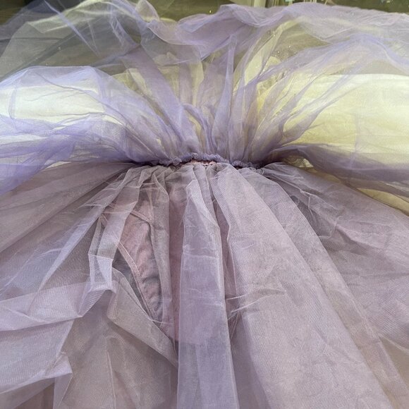 Weissman Dance Costume 12413 Girls Size LC(14) Time After Time French Mauve Tutu - Picture 15 of 16